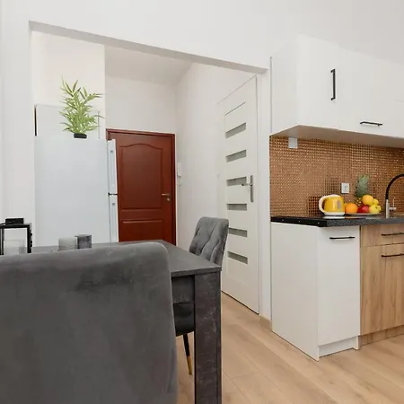 Beautiful Piotrkowska By Renters Apartament Łódź