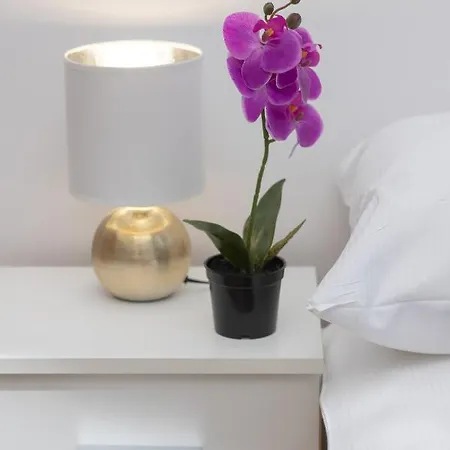 Beautiful Piotrkowska By Renters Apartament