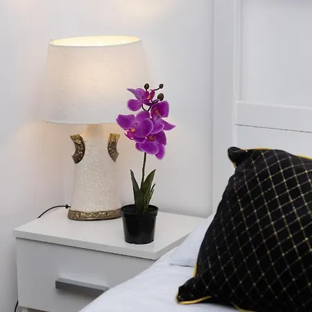 Beautiful Piotrkowska By Renters Łódź